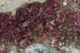 Roselite and Calcite Crystals on Dolomite - Morocco #74301-2